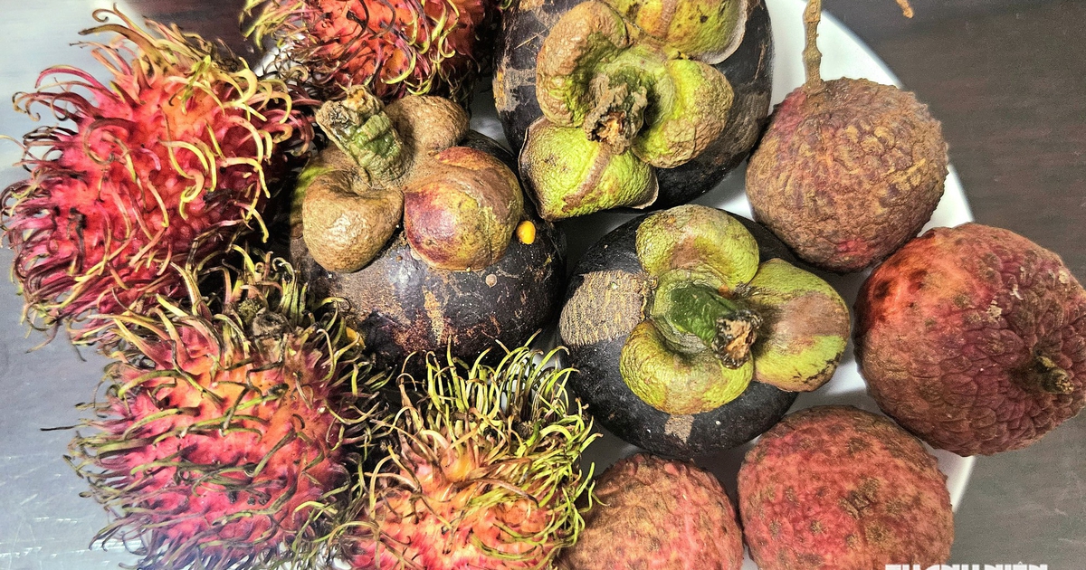 Tối chỉ ăn trái cây để giảm cân, bác sĩ cảnh báo điều này