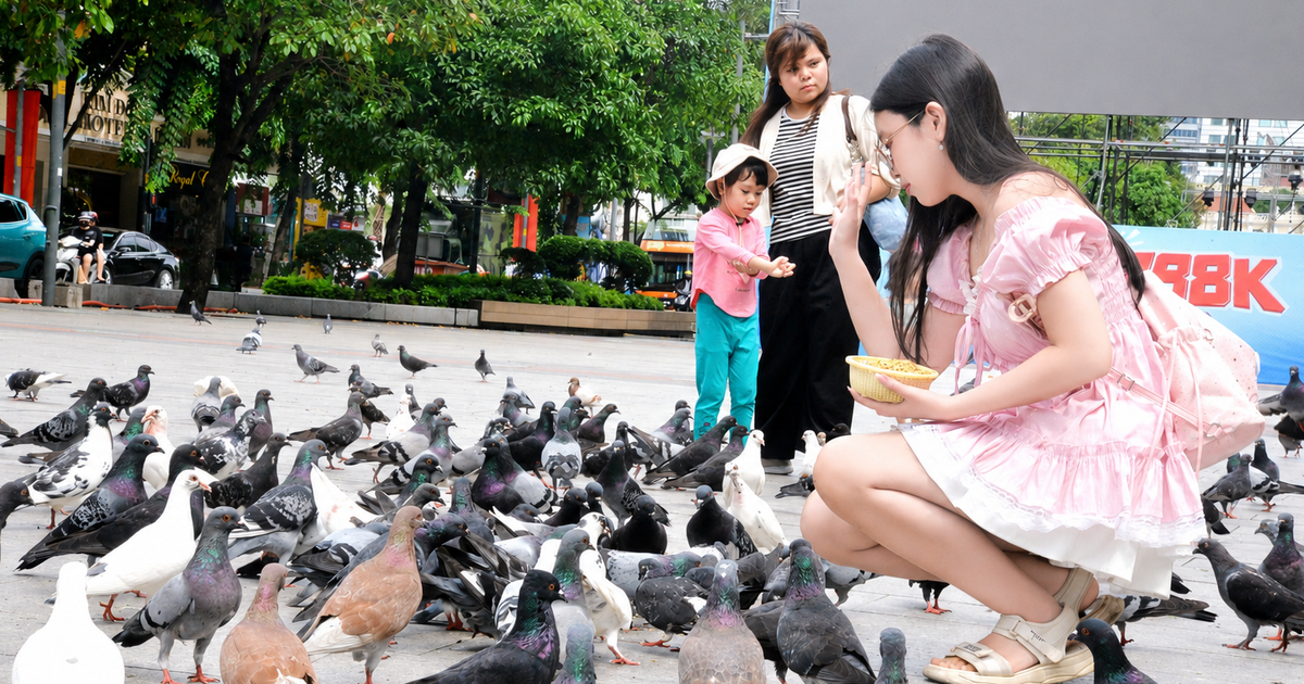 Đàn bồ câu khiến nhiều người mê tít ở phố đi bộ Nguyễn Huệ do ai nuôi?