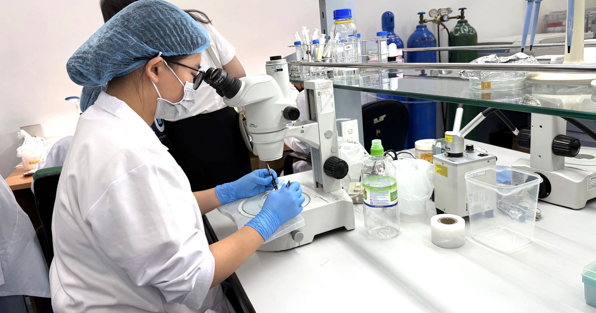 1.500 học bổng cho nhà khoa học trẻ, sinh viên xuất sắc học trường top thế giới