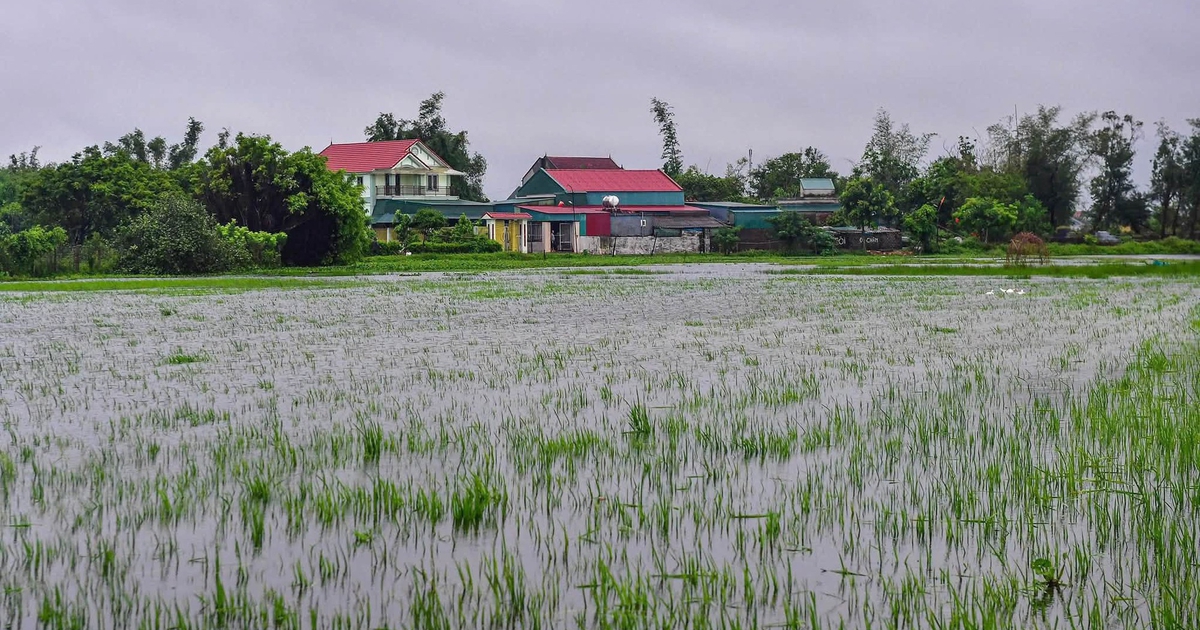 2 người bị sét đánh thương vong
