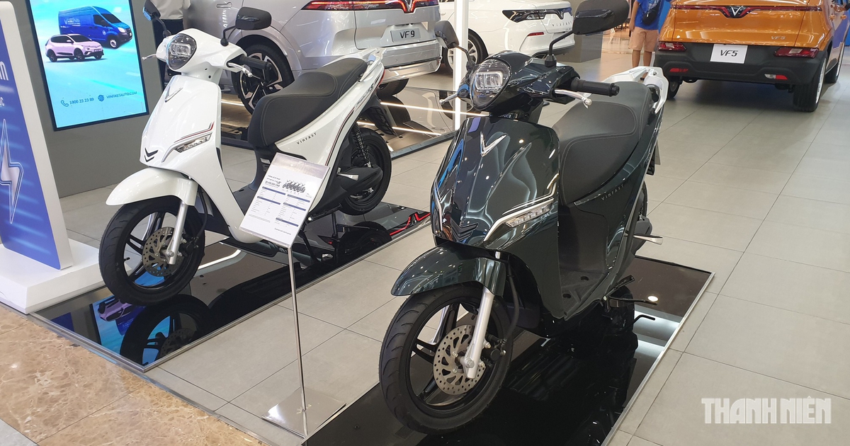 Xe điện chiếm gần 28% thị phần xe máy Việt Nam, VinFast tăng trưởng nhanh nhất