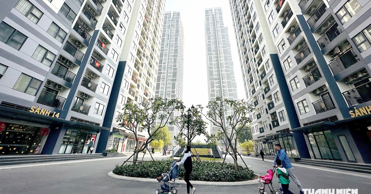 Bộ Xây dựng: Giá chung cư Hà Nội giảm, trung bình 123 triệu/m2