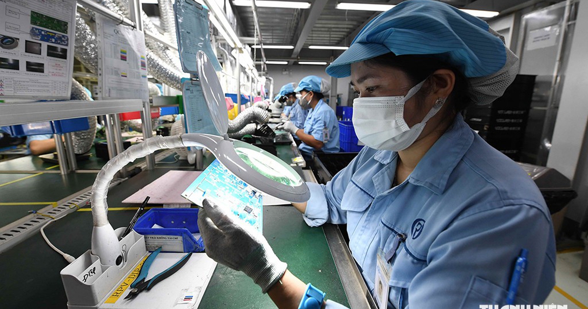 Đưa doanh nghiệp Việt vào chuỗi giá trị