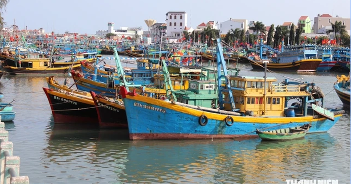 Lâm Đồng: Hằng tuần cập nhật danh sách tàu cá không đủ điều kiện, nguy cơ vi phạm IUU
