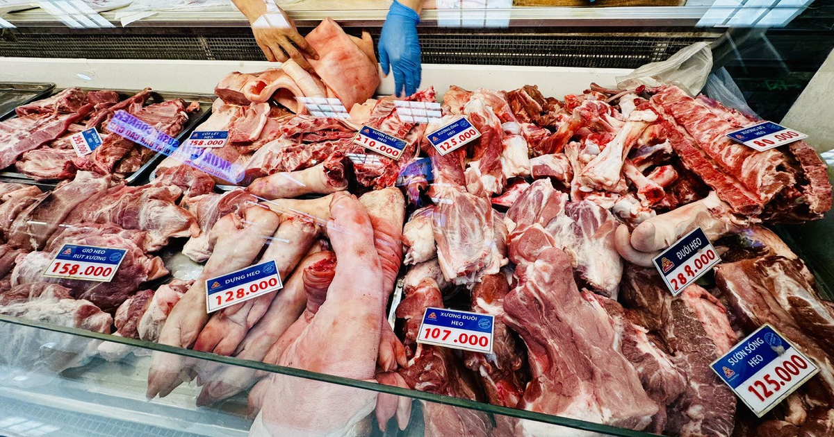 Giá heo hơi hôm nay 22.8.2026: Tiếp đà tăng