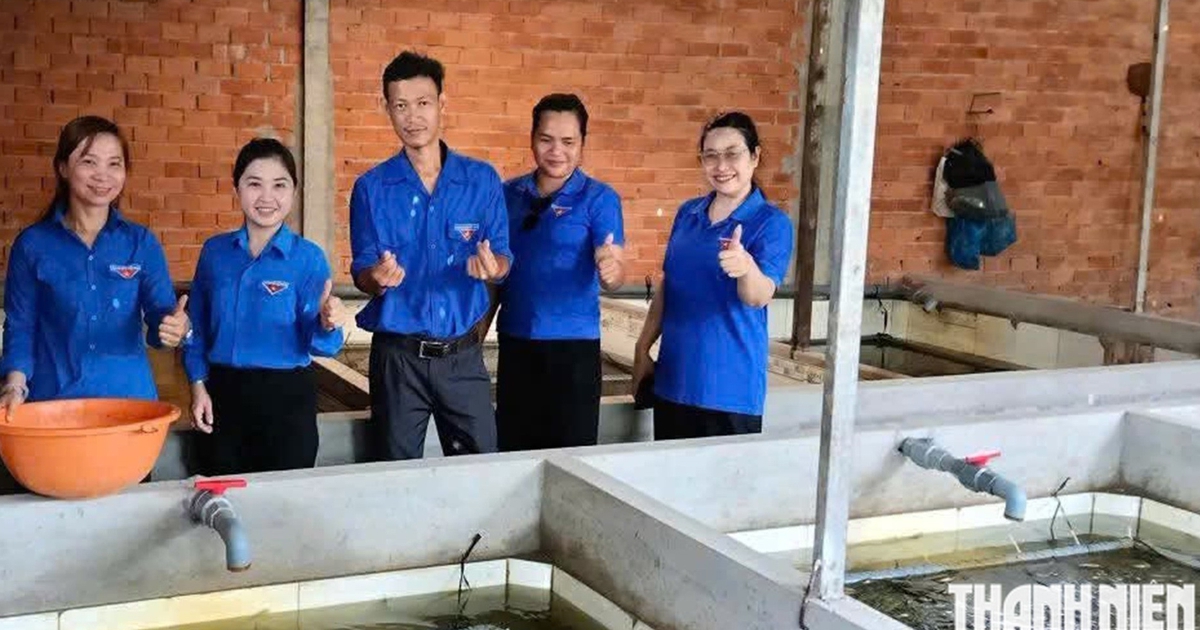 Cô gái miền Tây nuôi lươn không bùn thu nhập hàng trăm triệu đồng/năm