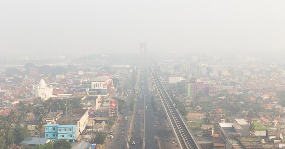 Indonesia bắt 72 người nghi g&acirc;y ch&aacute;y rừng nghi&ecirc;m trọng