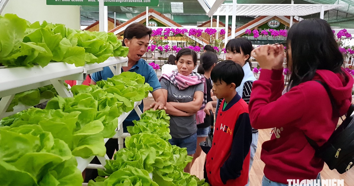 Đừng biến du lịch nông thôn thành một sân khấu