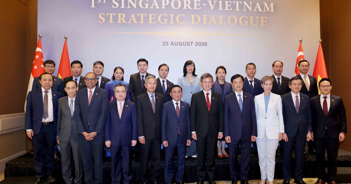 Việt Nam - Singapore hướng đến tương lai chung tự cường