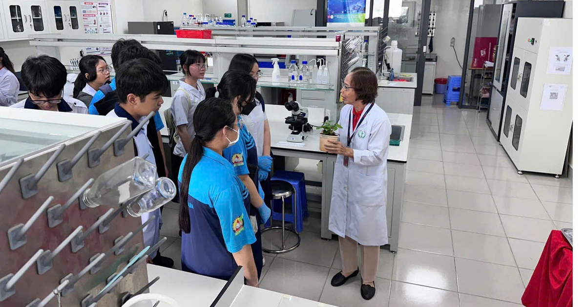 C&oacute; n&ecirc;n để hoạt động trải nghiệm, hướng nghiệp l&agrave; m&ocirc;n học ri&ecirc;ng?