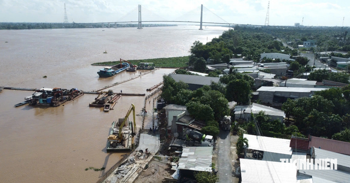 Mong lắm kè sông Tiền sớm về đích