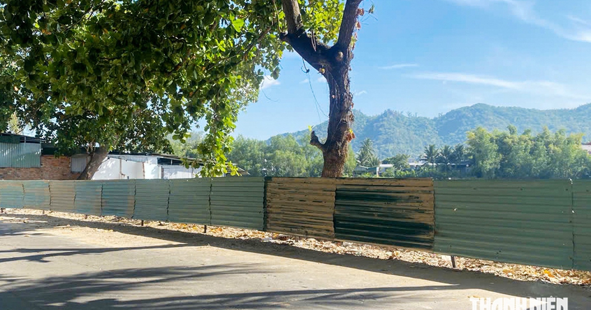 Dựng h&agrave;ng r&agrave;o ngăn xe tải đổ r&aacute;c, x&agrave; bần ven s&ocirc;ng C&aacute;i Nha Trang