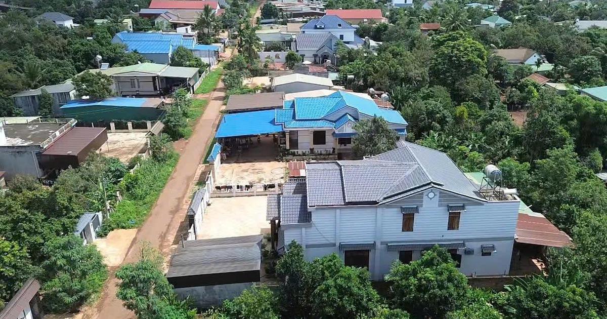 Biệt thự, xe sang khắp buôn làng Đắk Lắk nhờ sầu riêng được mùa được giá