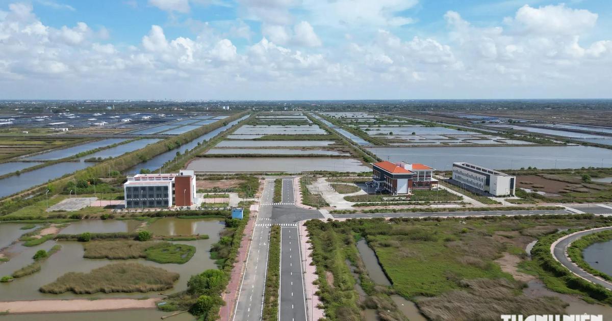 Thanh tra toàn diện Khu phát triển tôm công nghệ cao ở Cà Mau