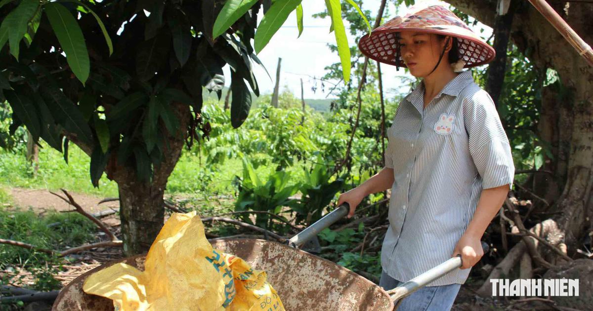 Thí sinh đạt 28,5 điểm xét tuyển nhưng ôm mẹ khóc vì lý do này...