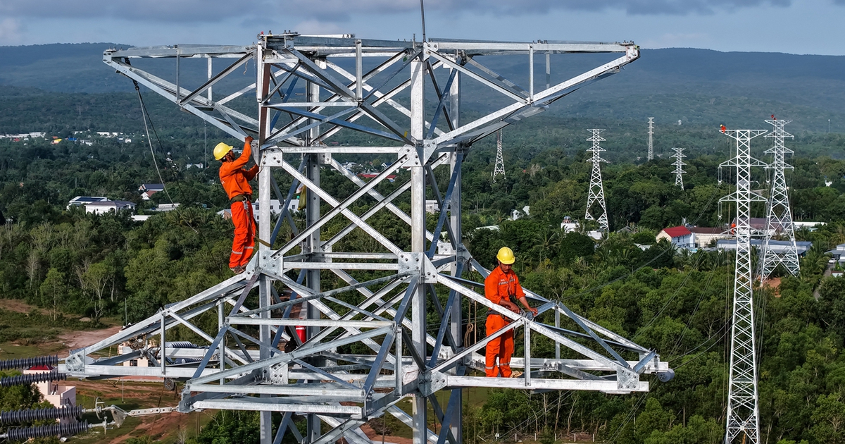 Điện lực miền Nam: Vượt khó ‘về đích’ 3 công trình trọng điểm phục vụ APEC 2027