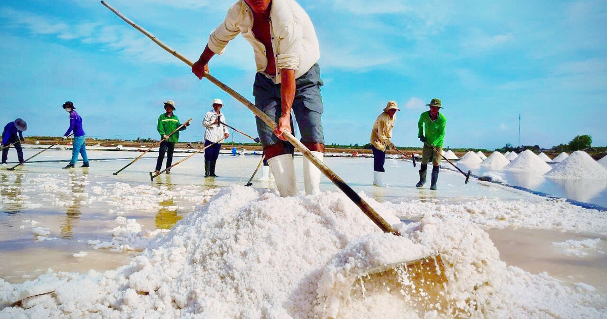 Nghề muối trăm năm xứ công tử Bạc Liêu, có tỉ phú, có nước mắt diêm dân