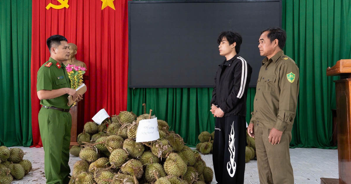 Bắt giữ nghi phạm từ Hải Phòng vào Đắk Lắk trộm 1,6 tấn sầu riêng