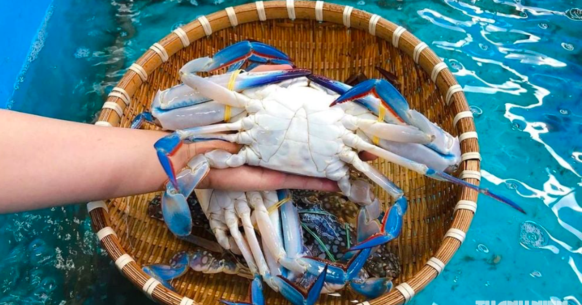 Vì sao xuất khẩu cua ghẹ tăng cao đột biến?