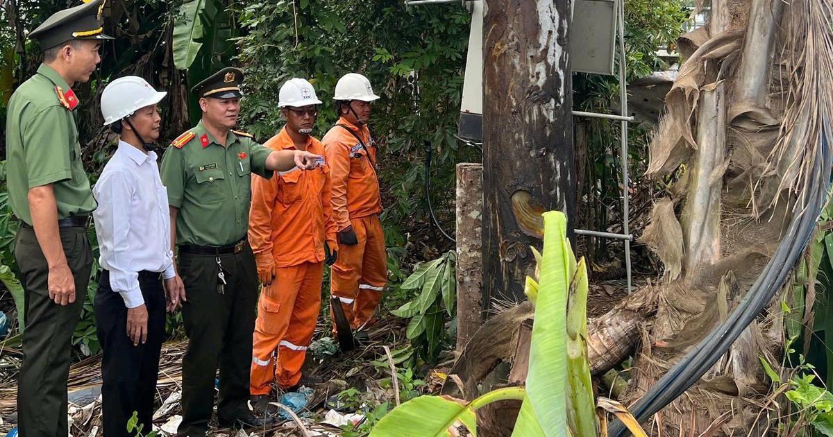 Điện lực Cần Thơ ghi nhận 148 vụ mất cắp vật tư, thiết bị điện