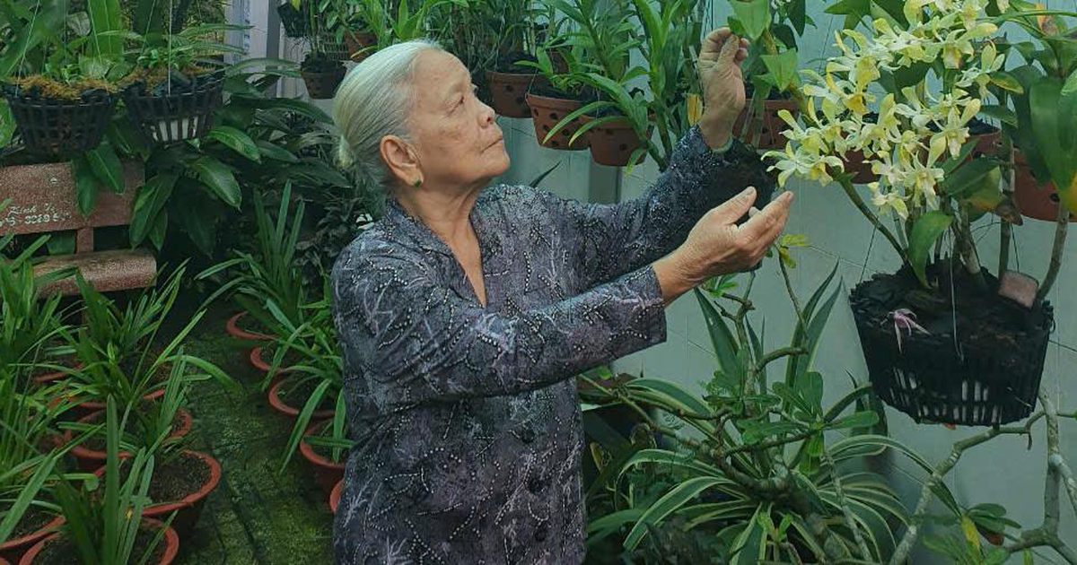 Cách cụ bà U.90 kiếm tiền làm từ thiện