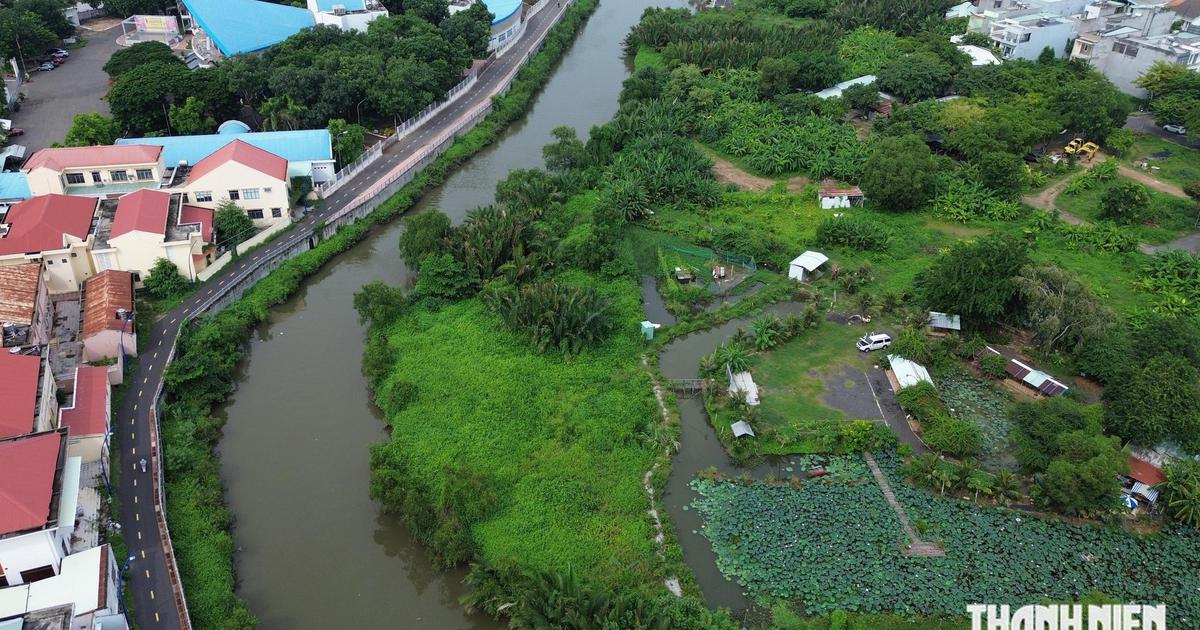 TP.HCM: Dự án kè sông Dinh hơn 2.300 tỉ đồng có gì đặc biệt?