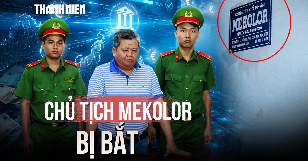 Vì sao ông Vũ Xuân Trường, Chủ tịch Mekolor bị bắt?