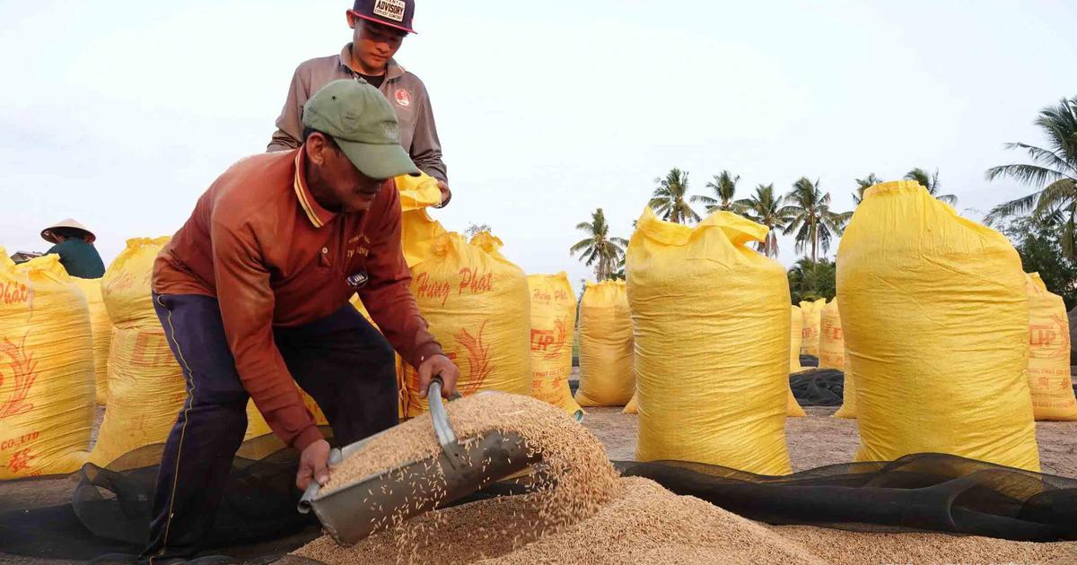 Giá lương thực có sốt bởi “siêu El Nino”?
