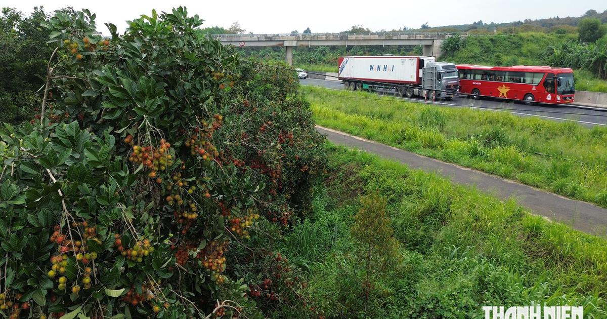 Xác định nhóm thanh niên ném hạt chôm chôm vào ô tô trên cao tốc Phan Thiết - Dầu Giây