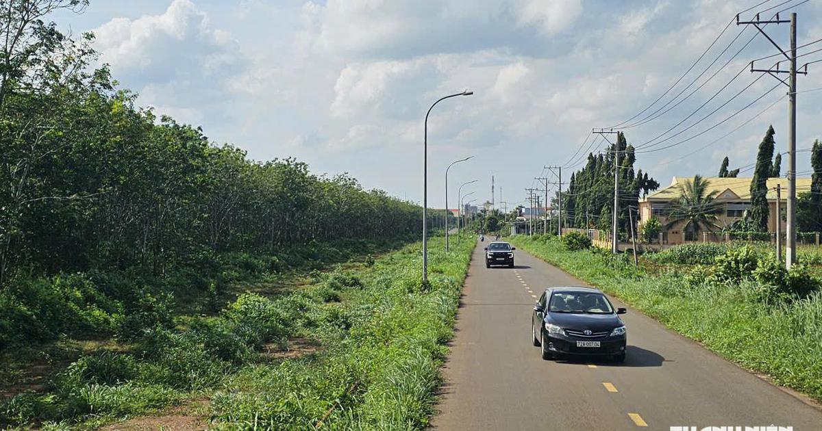TP.HCM: Tỉnh lộ ĐT997 thi công ì ạch dù chính quyền liên tục giục tiến độ