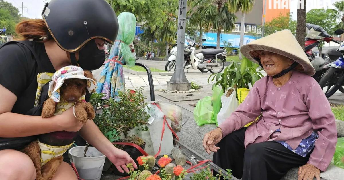 82 tuổi, cụ bà mỗi ngày đi xe buýt để bán cây cảnh: 'Biết ơn vô cùng'