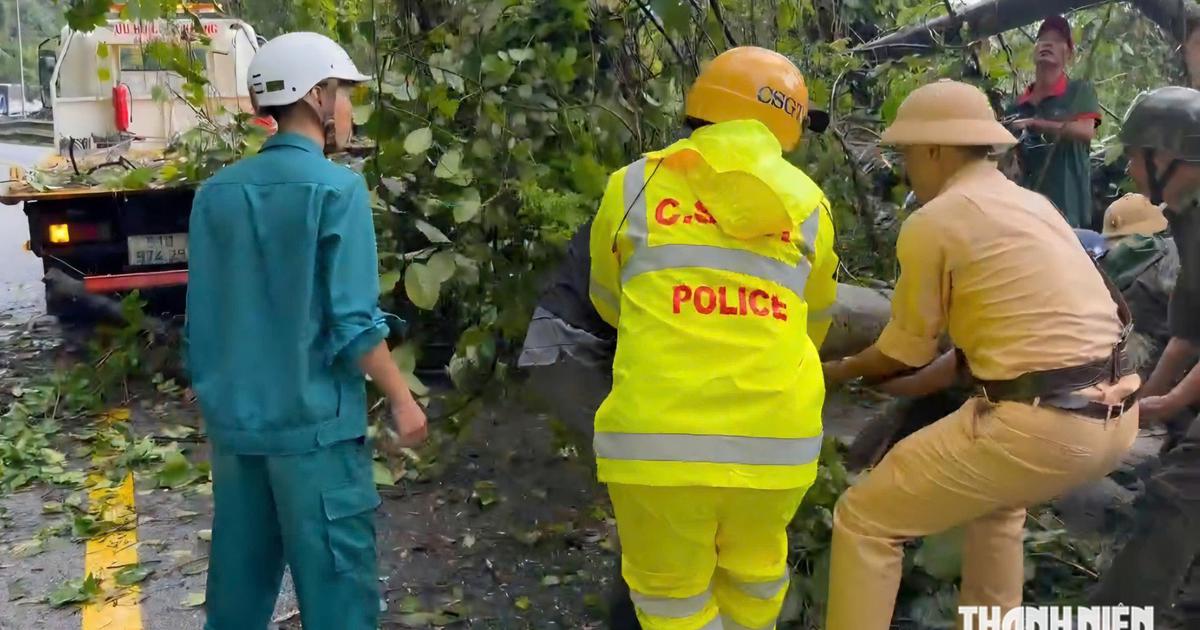 Khẩn trương giải tỏa cây đổ trên đèo Bảo Lộc và sạt lở trên đèo Con Ó