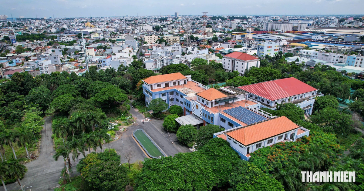 TP.HCM thúc tiến độ chuyển đổi nhà đất dôi dư phục vụ giáo dục, y tế