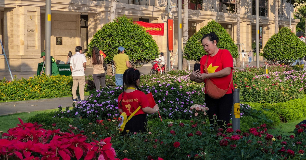 Từ pháo hoa đến concert, không khí lễ hội sống động qua ống kính Galaxy S26 FE