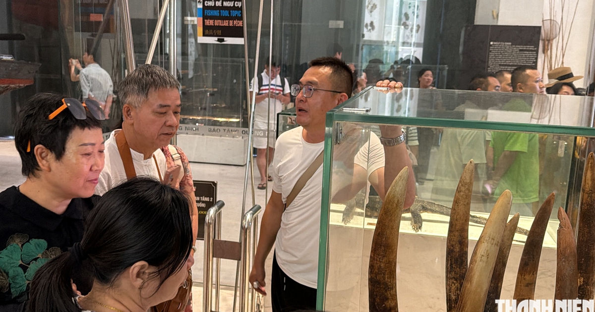 Khoảng trống n&agrave;o để người Trung Quốc 'cầm đo&agrave;n', điểm shopping kh&eacute;p k&iacute;n hoạt động?