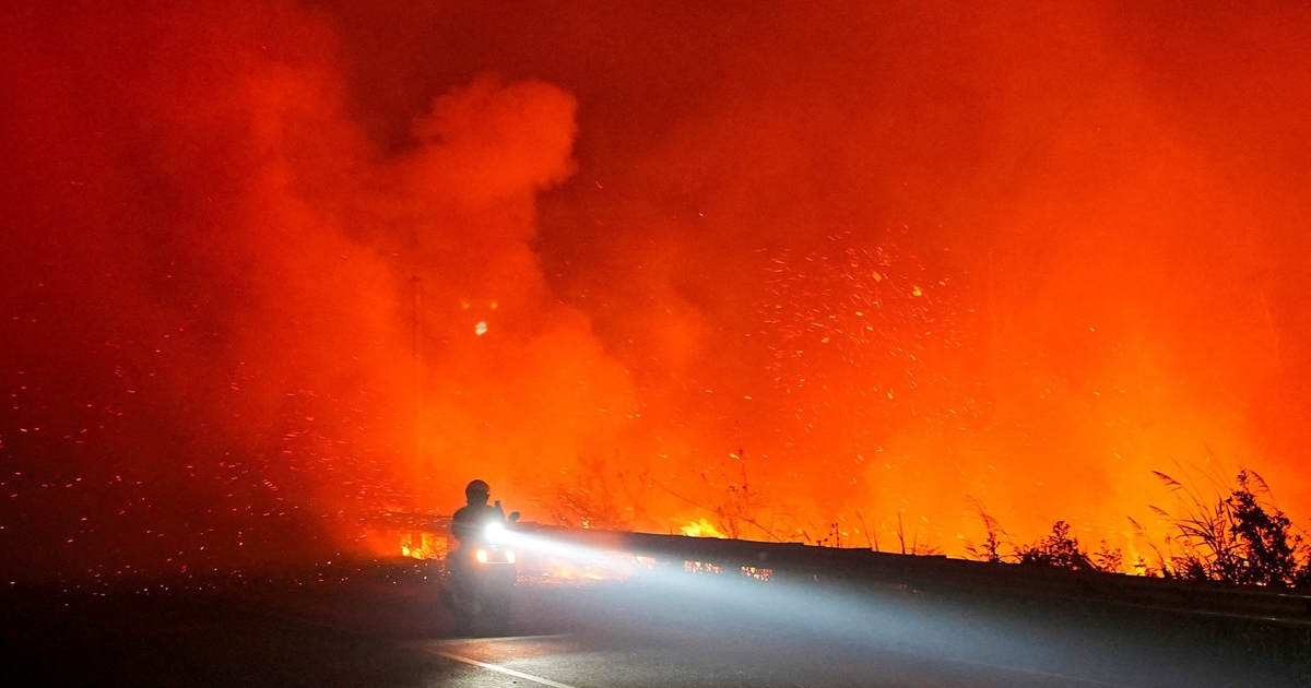 Ch&aacute;y rừng dữ dội, Indonesia c&acirc;n nhắc coi đốt rừng l&agrave; &lsquo;khủng bố sinh th&aacute;i&rsquo;