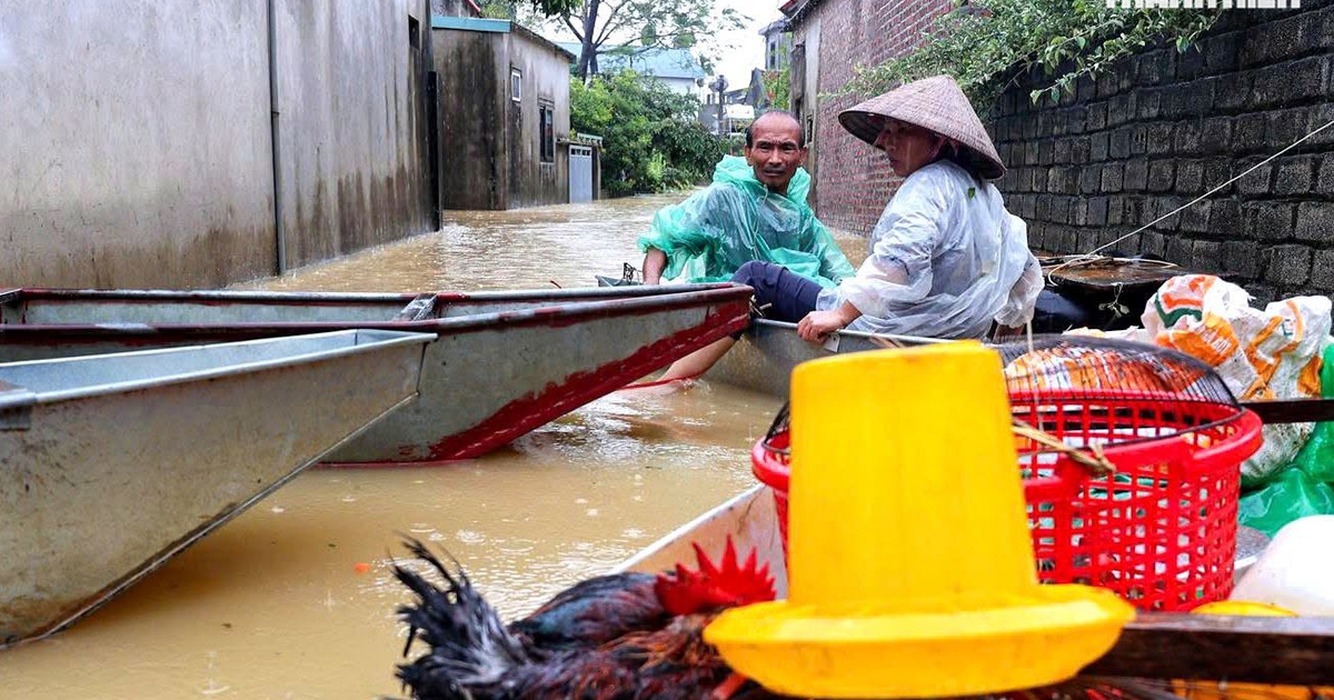 thanhnien.vn