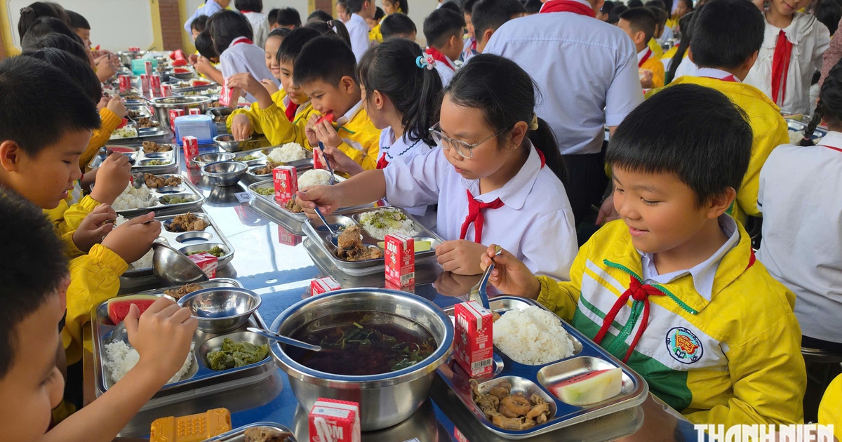Trường tiểu học Trưng Vương (L&acirc;m Đồng) siết kiểm so&aacute;t thực phẩm bếp ăn b&aacute;n tr&uacute;