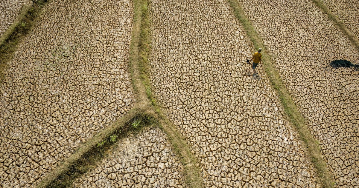 Ch&acirc;u &Aacute; chuẩn bị thế n&agrave;o trước đợt El Nino chưa từng c&oacute;?