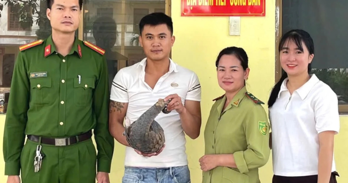 Liên tiếp phát hiện, giải cứu tê tê quý hiếm bên đường