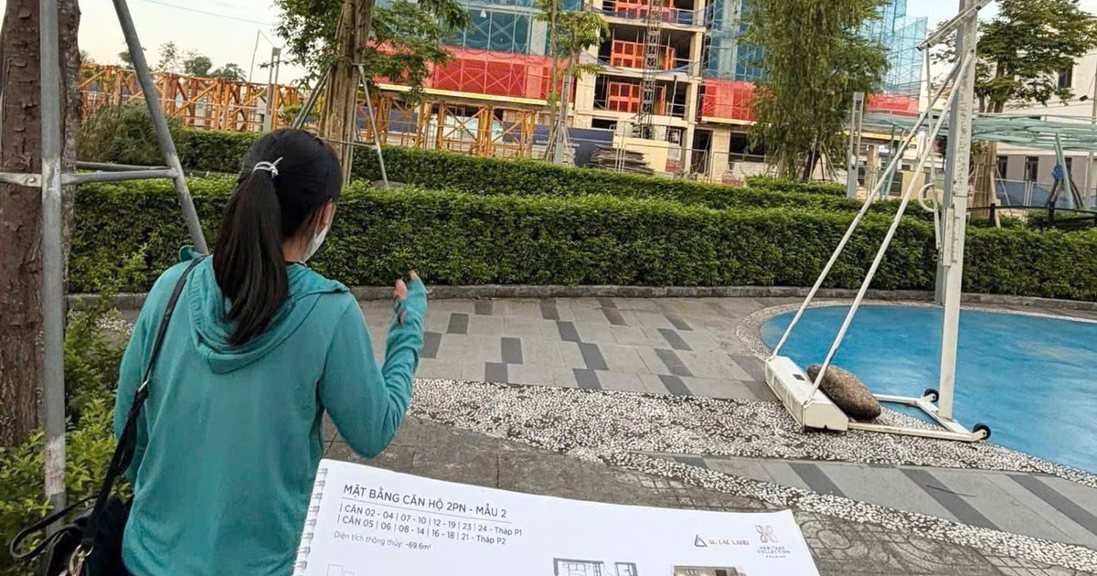 Bạn được nghe gì khi đi xem nhà cùng môi giới bất động sản?