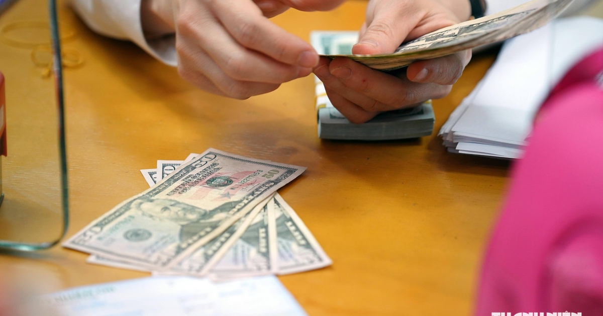 Giá USD hôm nay 20.9.2026: Tăng cao trong khi euro, yen Nhật lao dốc