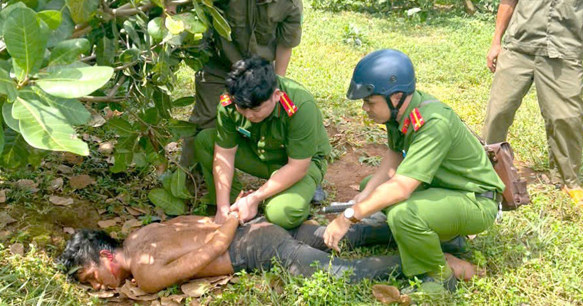 Đâm cha dượng trọng thương chỉ vì bị la mắng