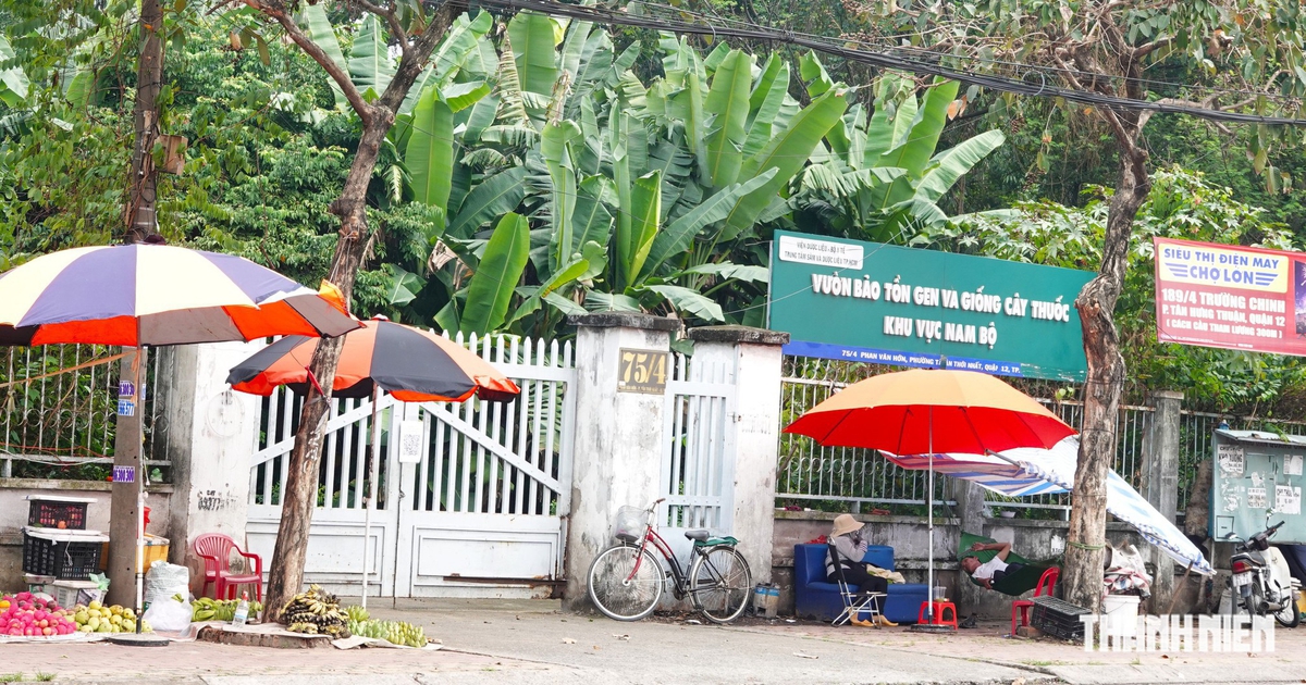 TP.HCM đề xuất quy trình 40 ngày thu hồi nhà, đất của cơ quan Trung ương