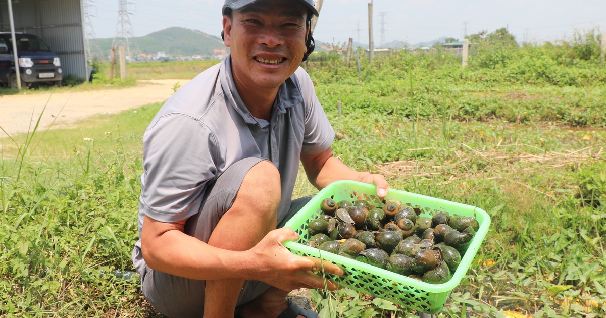 "Bí quyết" thành tỉ phú của người đàn ông từng vỡ nợ