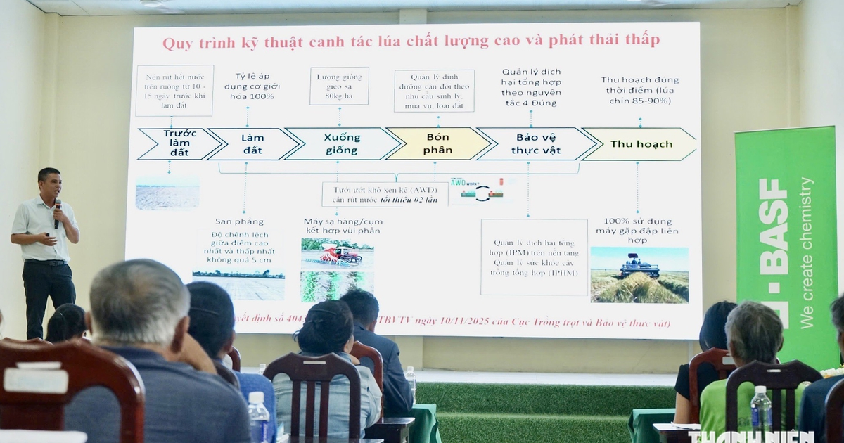Nông dân Đồng Tháp thử cách làm lúa ít nước, không đốt rơm