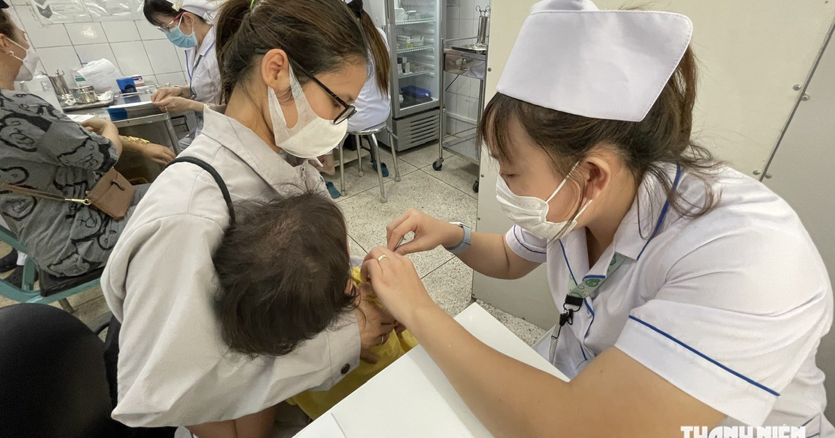 6 người tử vong vì bệnh dại, hơn 101.000 người bị chó mèo cào, cắn ở TP.HCM