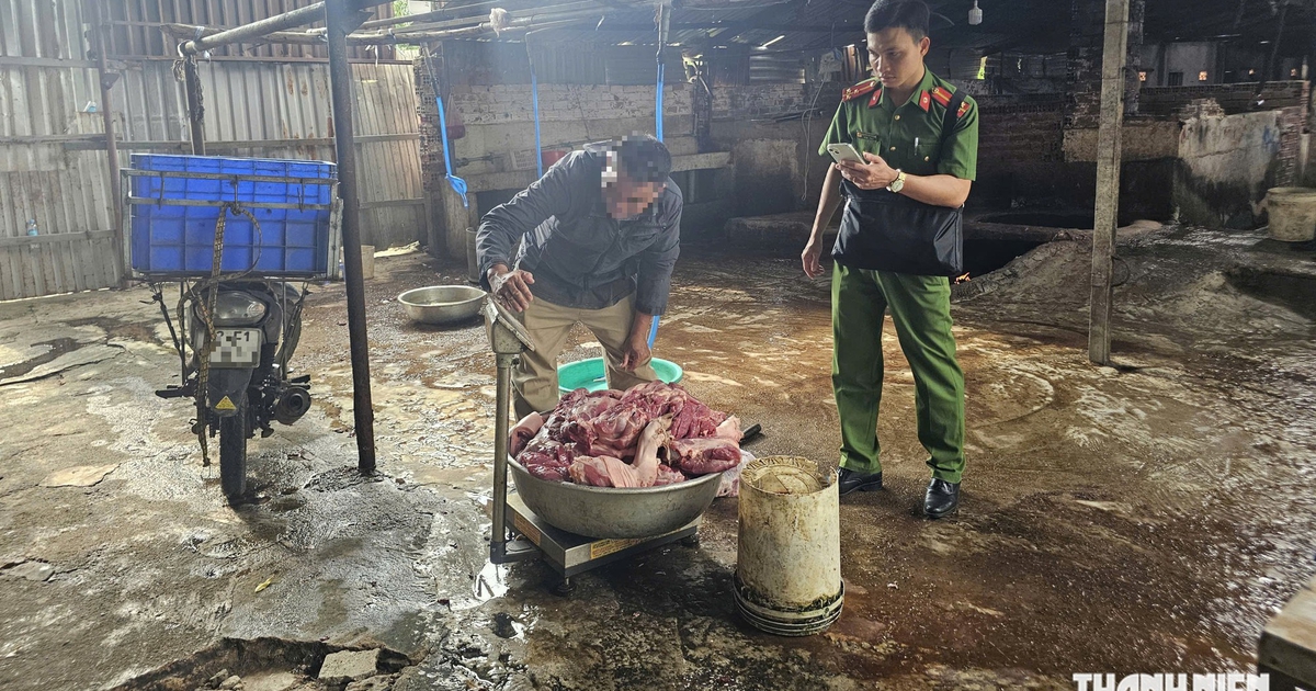 Lò mổ heo lậu bị công an bắt nhiều lần vẫn "tung hoành" ở phường Phú Mỹ