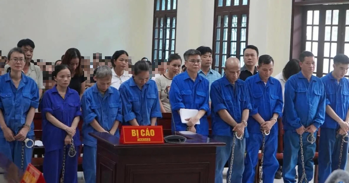 Cựu Tổng giám đốc Đồ hộp Hạ Long lĩnh án 19 năm tù
