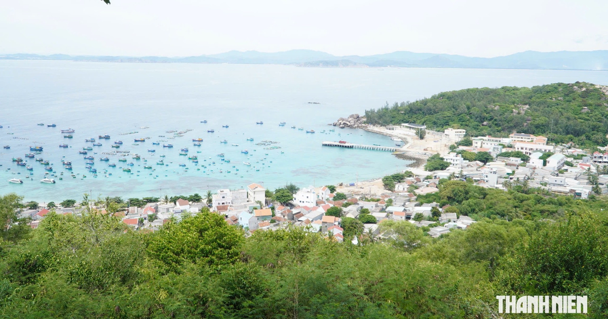 Mang y&ecirc;u thương đến x&atilde; đảo Nhơn Ch&acirc;u